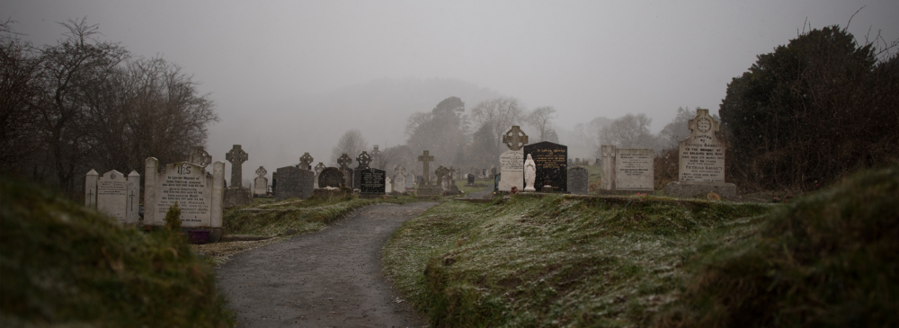 GEN3001 Life and Death