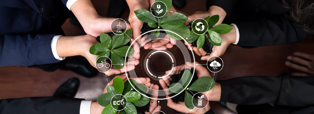 MGT3031 Globally Responsible Business