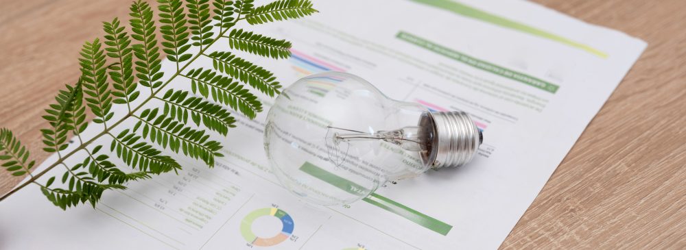 Light bulb with fern leaf on electricity bill on wooden table